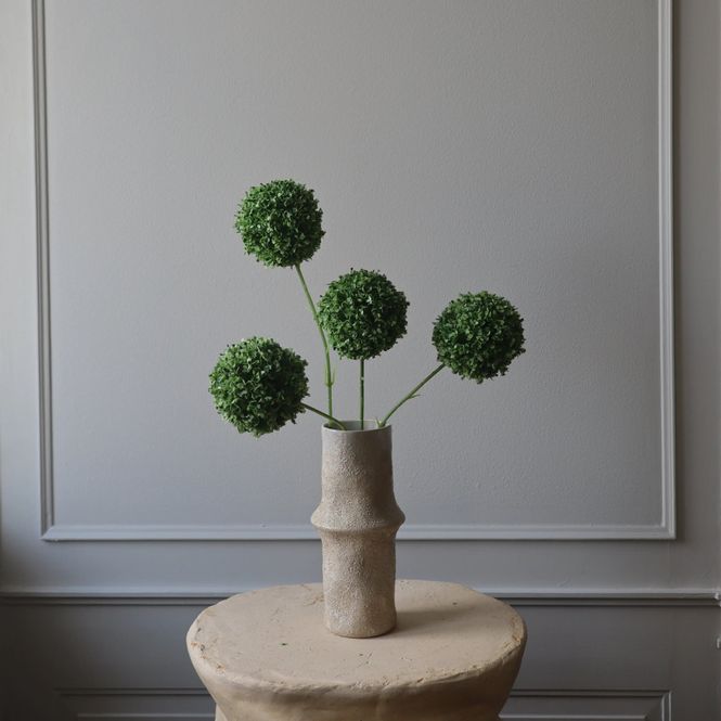 Hovedbilde Botané Studios Allium grønn stor 