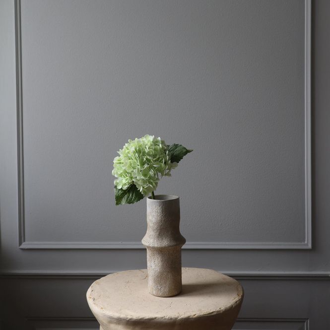 Hovedbilde Botané Studios Hortensia lys grønn