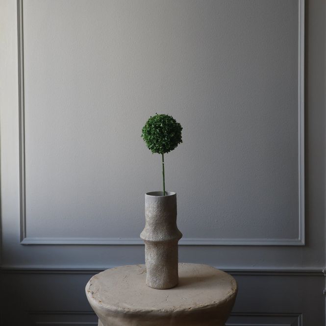 Hovedbilde Botané Studios Allium grønn stor 