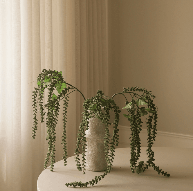 Hovedbilde Botané Studios Grønn Amaranthus 