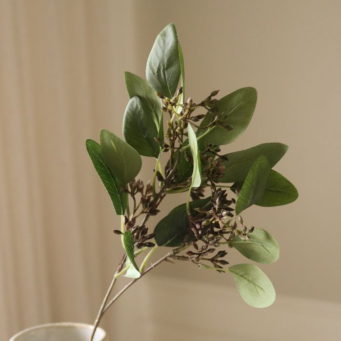 Hovedbilde Botané Studios Green Seeded Eucalyptus