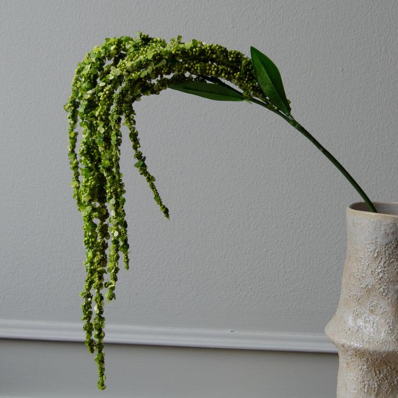 Botané Studios Amaranthus grønn