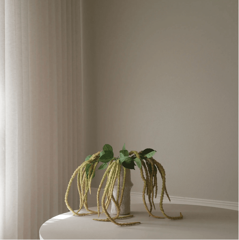 Botané Studios Light green Three Forks Amaranthus Flower